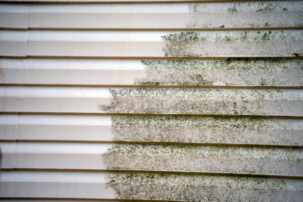Best Weatherproofing and Sealing  in Four Corners, MD